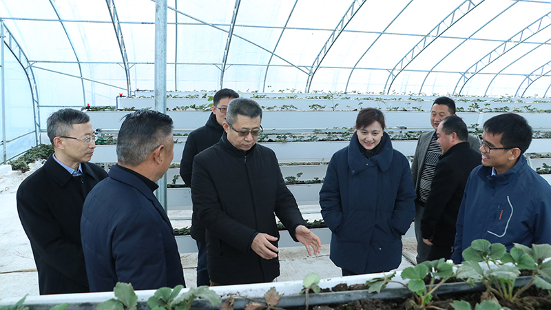 九游会老哥必备的交流社区_论坛帖吧