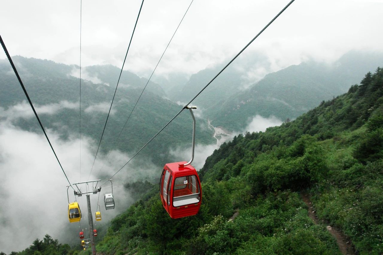 九游会老哥必备的交流社区_论坛帖吧